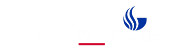 Georgia State University